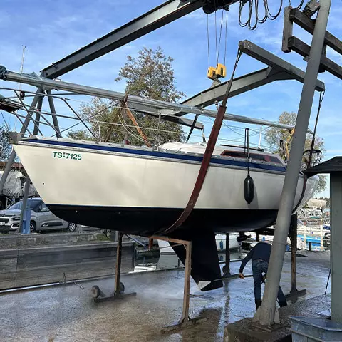 Antifouling