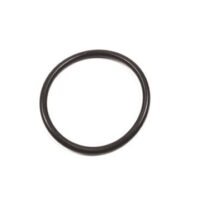 Actuator Piston O Ring