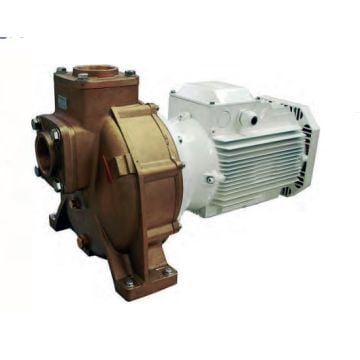 Pump BMA-S 65/190 400/690 V 3 Ph 50Hz 2 kW RID self priming