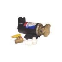 Pump oil changer 12 V reversible to both drain & refill engine oil