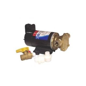 Pump oil changer 12 V reversible to both drain & refill engine oil