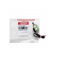 Solenoid valve DM300 generator fuel pump